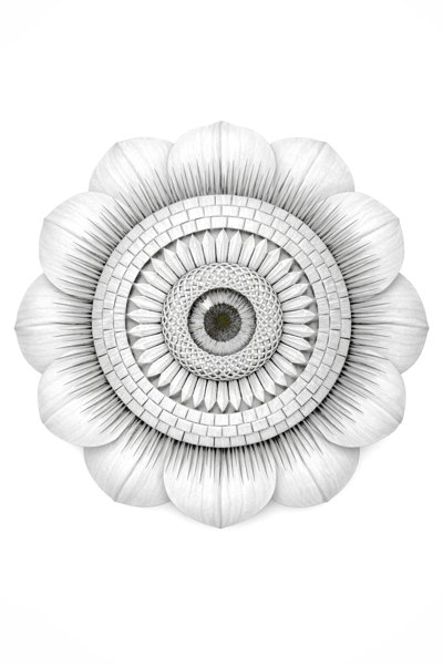 A richly detailed mandala-eye alien flower specimen, matching the density of the book's interior pages